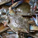 Usa. Addio al granchio blu?