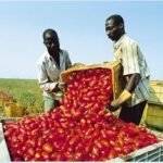 Lavoro: ok al piano straordinario di vigilanza