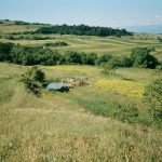 "Milleproroghe": cresce il valore dei terreni agricoli