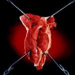 EFSA ed ECDC pubblicano la relazione 2008 sulle zoonosi e le epidemie di origine alimentare nell'UE per il 2008