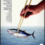 Pesca: La moratoria del Tonno rosso è doppiamente sostenibile