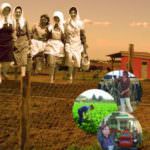 Presentazione libro e dvd "Donne e agricoltura nel Lazio. Ieri, oggi e domani"