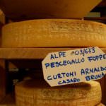 Venerdì a Sondrio, con un libro si celebrerà il vero Bitto