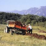 Crisi: tre imprese agricole su cinque con bilanci "in rosso"