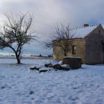 Maltempo: il gelo polare distrugge campi di ortaggi, disagi nelle campagne