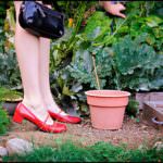 L'agricoltura si tinge sempre più di rosa, servono però misure mirate per continuare a crescere