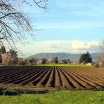 Abruzzo: Nessun rischio per i fondi del Psr