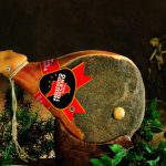 Prosciutto Toscano DOP: cresce la produzione, cresce l'apprezzamento