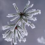 Maltempo: Coldiretti, giù di 1,1 gradi la temperatura media nel 2010