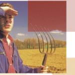 I giovani agricoltori schiacciati dalla crisi