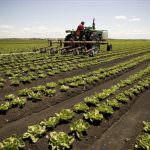 Milano: Ferrazzi promuove l'agricoltura sociale