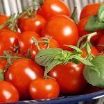 Venezia "presidia" il gusto