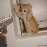 Beppe Bigazzi: cacciato dalla RAI come un gatto randagio