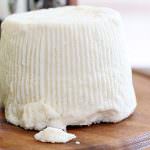 Gnocchetti di ricotta fritta