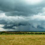 Maltempo in Sicilia, ingenti i danni in agricoltura