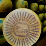 Il Parmigiano Reggiano delle "Vacche Rosse"