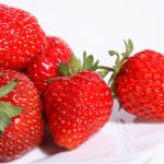 Alto Adige, boom delle fragole: produzione + 25%