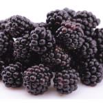 Organic Denmark at BioFach show: Innovative Organic Food to Suit Everybody's Taste