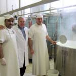 La squagliabilità dello squacquerone