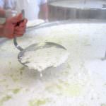 Modificato il disciplinare della "Ricotta Romana" Dop