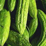 Il melone amaro ferma il cancro al seno