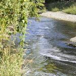 Confagricoltura: "Petrolio nel Lambro, un disastro per le nostre campagne"