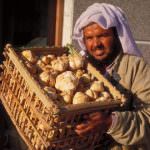 Frodi alimentari. L'invasione del tartufo d'Africa - Terfezia