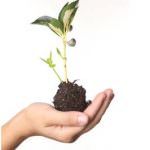 Ogm: Roma Capitale dice un No! "Radicale"