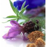 Medicina alternativa, un pericolo per i bambini