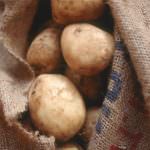 OGM: Coldiretti, la patata è l'ortaggio più coltivato dopo il pomodoro