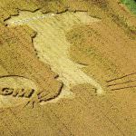 Ogm: Barroso è deciso a non prendere posizione precise