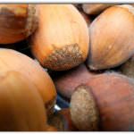 Aumentati i limiti di legge per le aflatossine: perché?