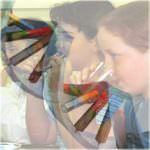 Un test del DNA prevede il successo della dieta