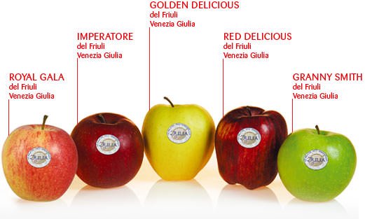 La mela "Julia" Dop del Friuli Venezia Giulia arriva nella grande distribuzione