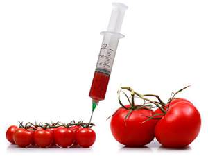 Udine: 40 associazioni agricole e ambientalistiche unite contro gli ogm