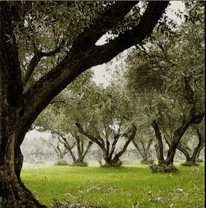 A Euro&Med Food è di scena la sicurezza agroalimentare