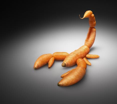 Trieste: OGM, intervento del consigliere regionale Enio Agnola