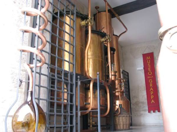 Progetto per la tutela, salvaguardia e valorizzazione dell'Ig Grappa nel mondo