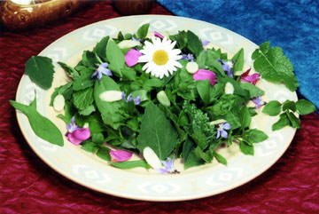 Insalata del Capoccia