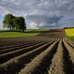 Gardini risponde all'audizione del Ministro Galan