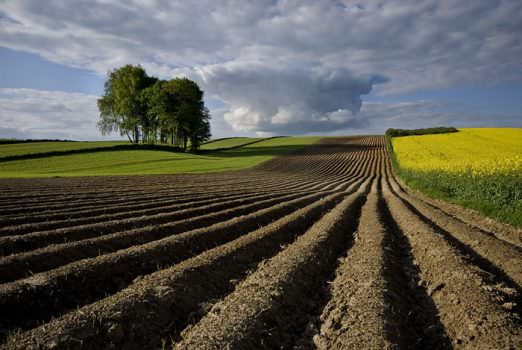 Gardini risponde all’audizione del Ministro Galan