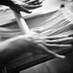 Casa Emiliani, la pasta fresca surgelata di qualità