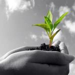 Agricoltura biologica, vantaggi importanti nel lungo periodo