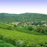 Raccontare Gambellara: terra di grandi vini, e non solo