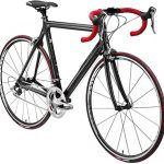 Treviso: Ciclismo e promozione del territorio, un binomio vincente