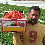 Confagricoltura: da oggi partono le richieste di nulla osta per il lavoro stagionale degli immigrati