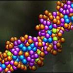 Una mutazione del gene PTEN all'origine dei tumori