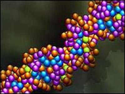 Il gene dello stress fa ingrassare