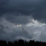 Maltempo: Gravi i danni nelle campagne