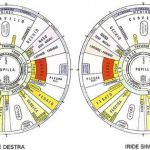 L'Iridologia: Informazioni scritte negli occhi, un modo nuovo di vedere la guarigione